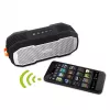 Nešiojamas stereo garsiakalbis Fantec Novi T30 sidabrinis