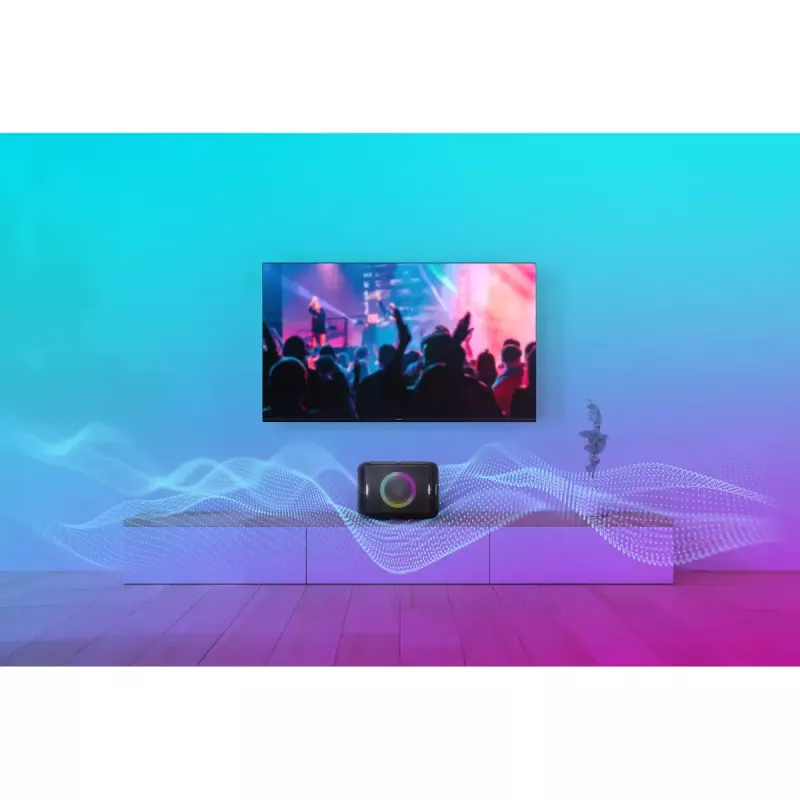 Nešiojamas stereo garsiakalbis Panasonic SC-BMAX5E-K juodas
