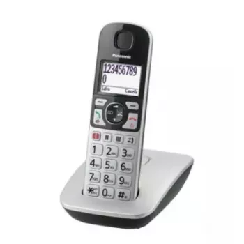 DECT belaidis telefonas Panasonic KX-TGE510GS