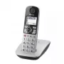 DECT belaidis telefonas Panasonic KX-TGE510GS