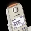 DECT belaidis telefonas Panasonic KX-TGE262GN su dviem rageliais, garsiakalbiu, atsakikliu ir skambučio numerio rodymu