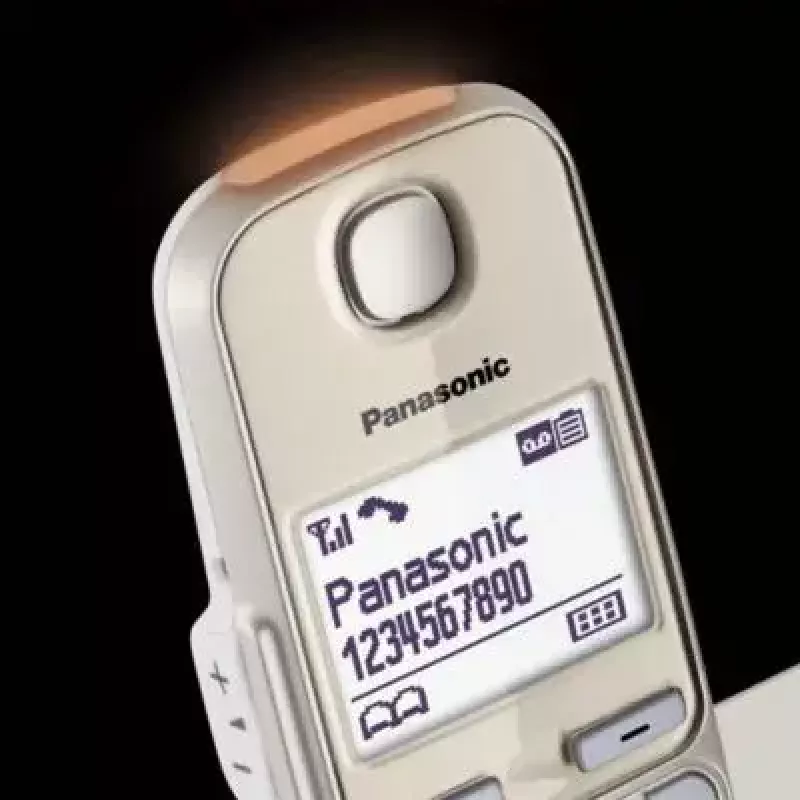DECT belaidis telefonas Panasonic KX-TGE262GN su dviem rageliais, garsiakalbiu, atsakikliu ir skambučio numerio rodymu