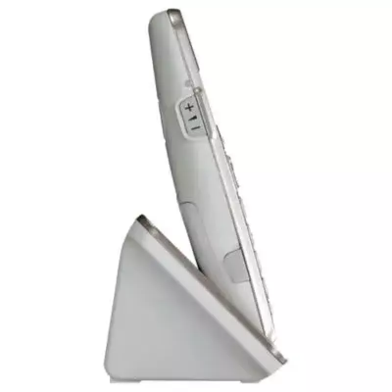 DECT belaidis telefonas Panasonic KX-TGE262GN su dviem rageliais, garsiakalbiu, atsakikliu ir skambučio numerio rodymu