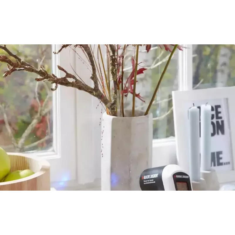 Langų sandarinimo tesa P-Profilis 6 m Ruda