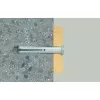 Sraigtų ir kaiščių rinkinys Fischer 48794, 8×120 mm, 100 vnt.
