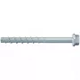 Fischer 536855 varžtas 100 mm (50 vnt.)