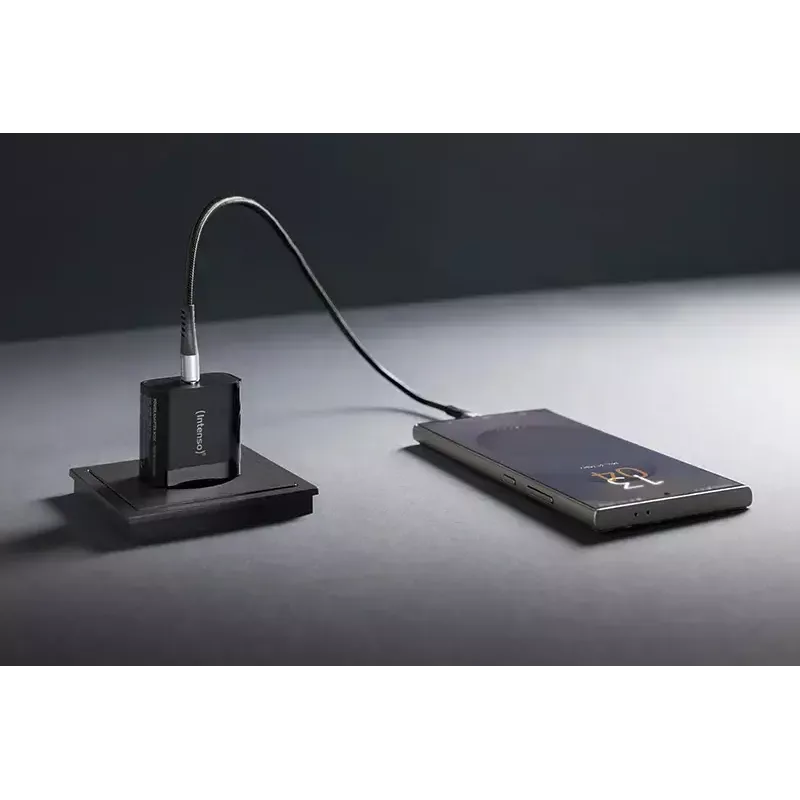 Intenso W20C 20 W USB-C maitinimo adapteris juodas