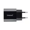 Intenso W20C 20 W USB-C maitinimo adapteris juodas