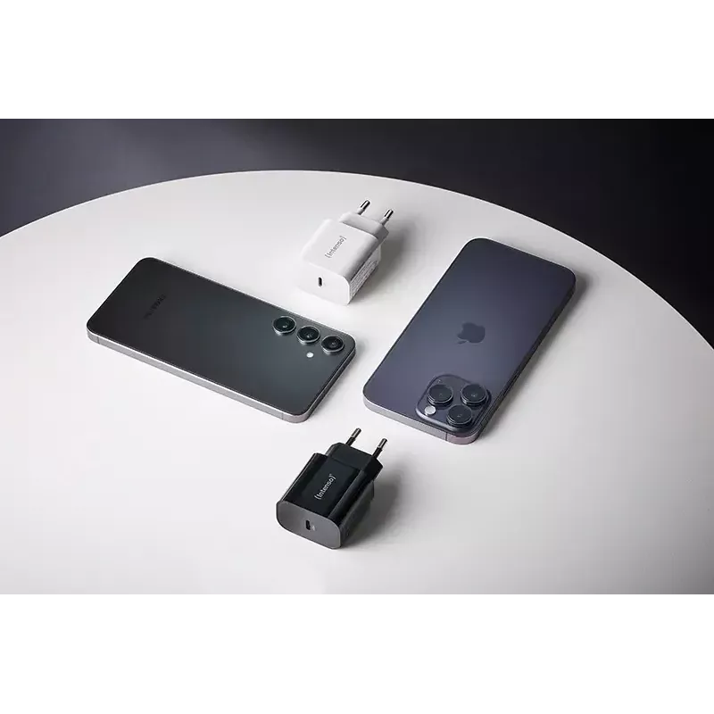 Intenso W20C 20 W USB-C maitinimo adapteris juodas