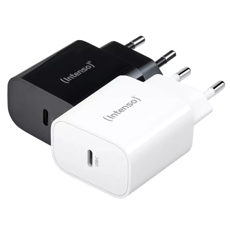 Intenso W20C 20 W USB-C maitinimo adapteris juodas