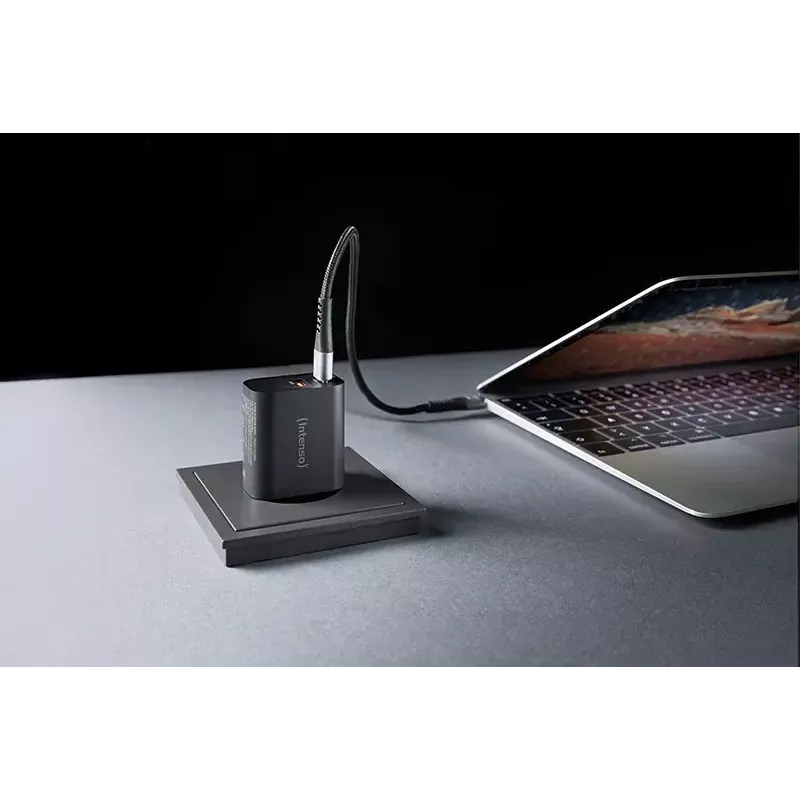 Intenso W30AC 30W USB-A USB-C maitinimo adapteris juodas