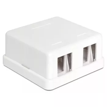 Kištukinė jungiamoji dėžutė DeLOCK 86207 2x Keystone balta