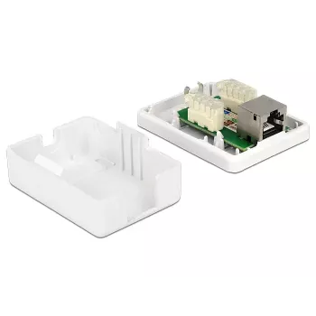 Kištukinis lizdas RJ-45 DeLOCK 86169