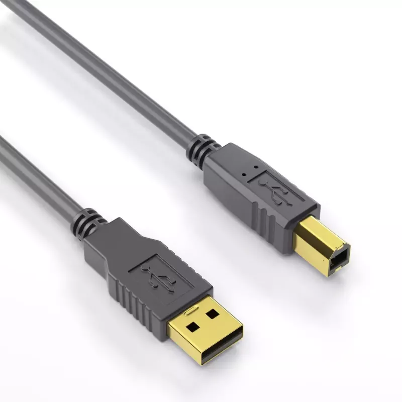USB laidas PureLink DS2000-100 10 m USB 2.0 USB A USB B juodas