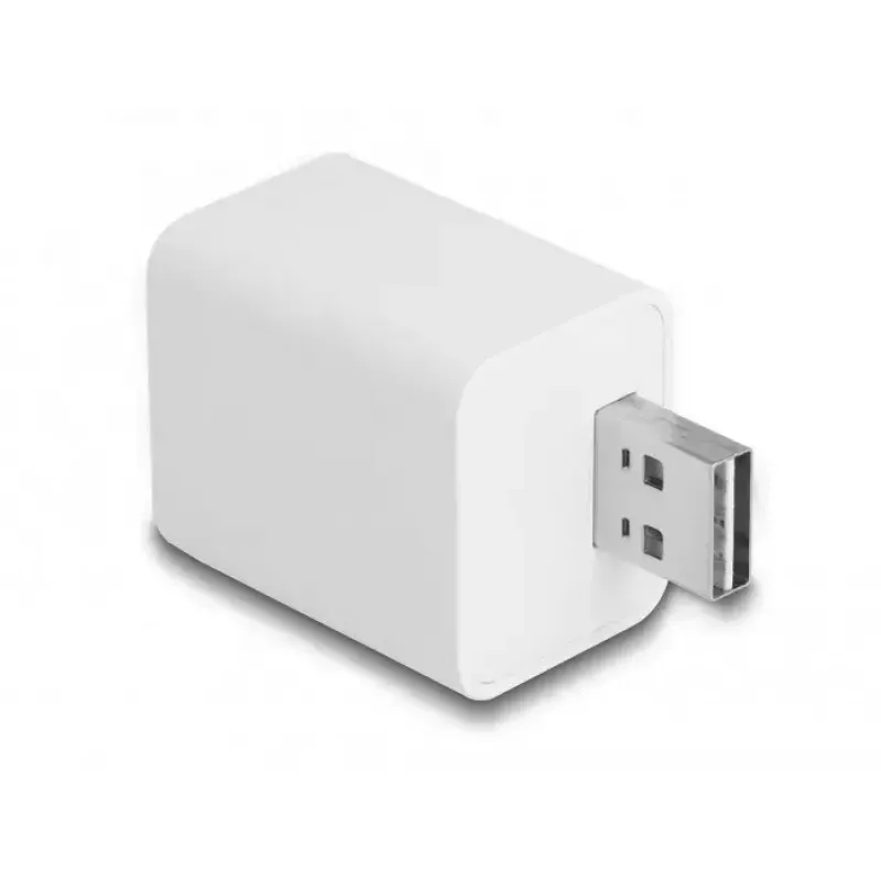 „Wi-Fi“ valdomas USB kištukas DeLOCK 11828, 2 A, baltas
