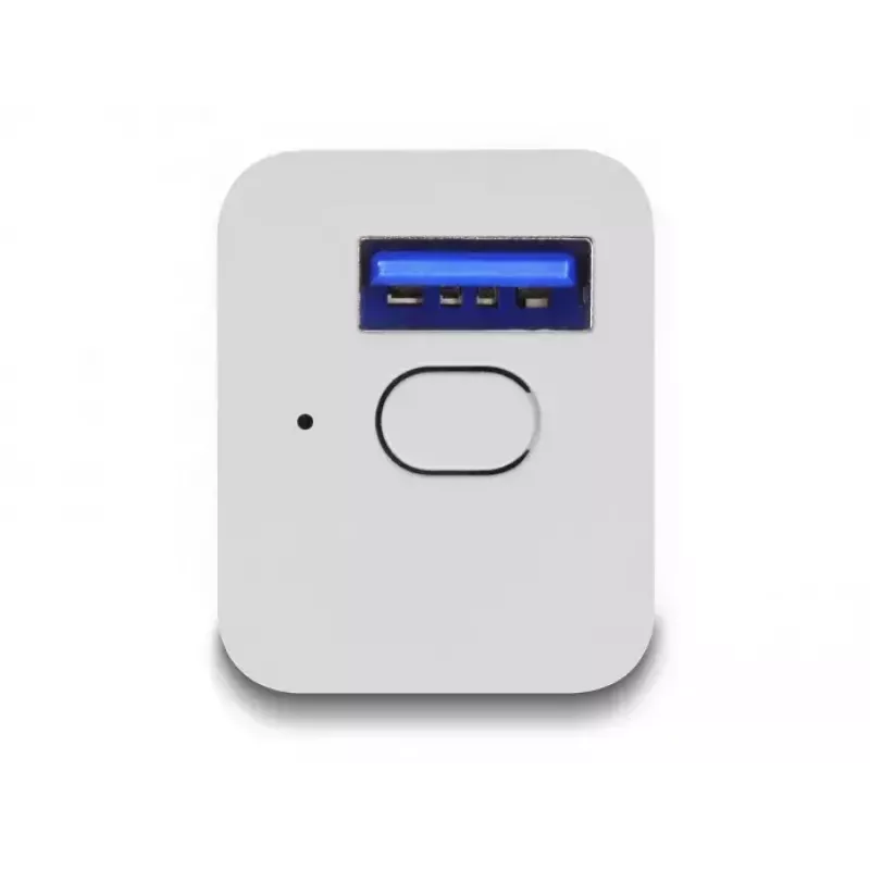„Wi-Fi“ valdomas USB kištukas DeLOCK 11828, 2 A, baltas