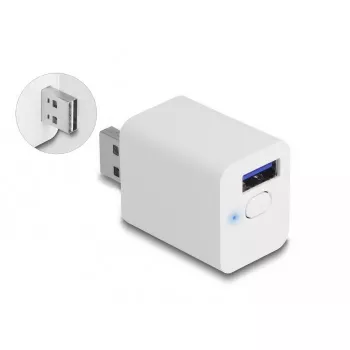 „Wi-Fi“ valdomas USB kištukas DeLOCK 11828, 2 A, baltas