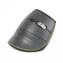 BakkerElkhuizen FastForward pelė, dešinei rankai, vertikalus dizainas, optinė, RF belaidė + Bluetooth + USB Type-C, 500 DPI, pilka