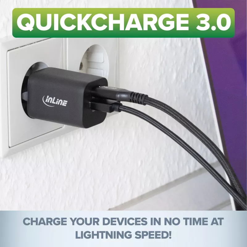 InLine USB maitinimo blokas, įkroviklis, USB-A + USB Type-C, 33W, PD + QC