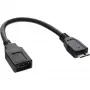 InLine Micro USB 3.0 OTG adapterio laidas Micro B (vyriškas) į USB A (moteriškas) 0,15 m