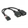 InLine USB 2.0 adapterio laidas vidinis 2x USB A lizdas / pagrindinės plokštės jungtis 33440M