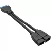 InLine USB 3.0 adapterio laidas vidiniam 2x USB Type A moteriškas / pagrindinės plokštės lizdas