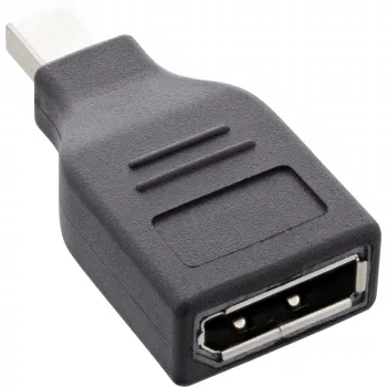 InLine adapteris DisplayPort, mini DisplayPort kištukas / DisplayPort lizdas, 4K/60Hz