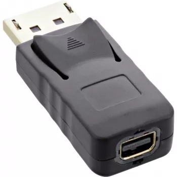 InLine DisplayPort adapteris, DisplayPort kištukas / mini DisplayPort lizdas, 4K/60Hz