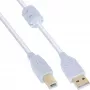 InLine USB 2.0 laidas A tipo kištukas / B tipo kištukas, auksuoti kontaktai, su feritu, baltas, 10 m