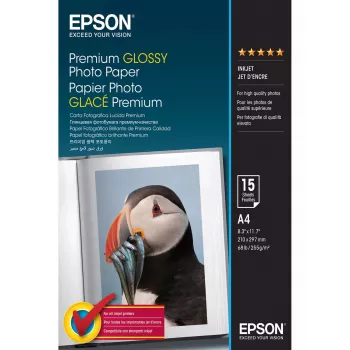 Epson Premium blizgus fotopopierius - A4 - 15 lapų
