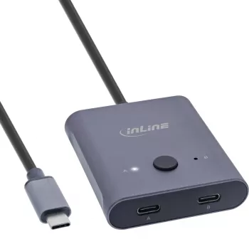 InLine USB-C jungiklis, dvipusis, 10Gb/s, 100W