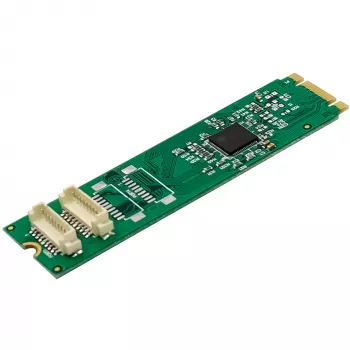 InLine 76660X vidinis nuoseklus adapteris M.2 vyriškas 4 Gbit/s