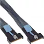 InLine 27661A SAS kabelis 0,5 m 24 Gbit/s juoda, mėlyna, pilka