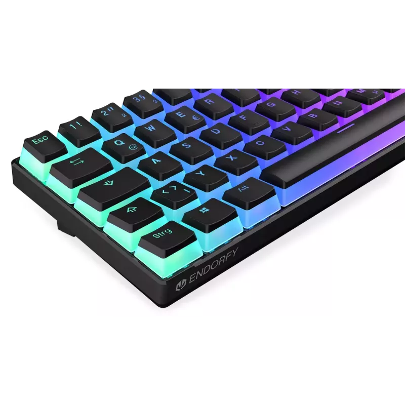 Žaidimų klaviatūra ENDORFY Thock Compact RF Wireless USB QWERTZ 61 klavišų RGB LED
