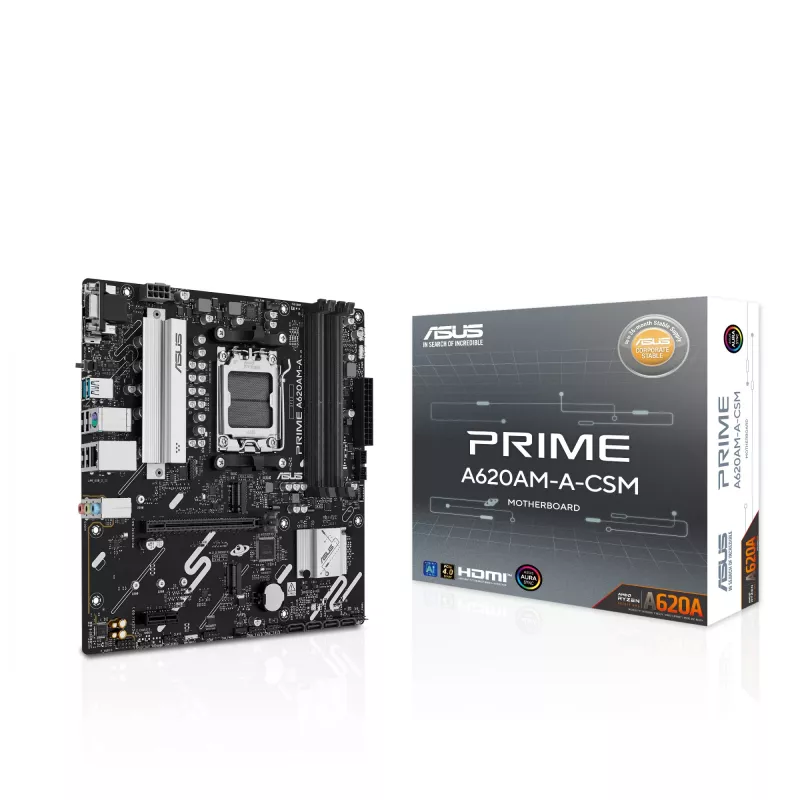 Motininė plokštė ASUS PRIME A620AM-A-CSM, A620, AM5, Micro ATX