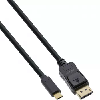 InLine USB-C į DisplayPort laidas, 2 m, 4K @60Hz