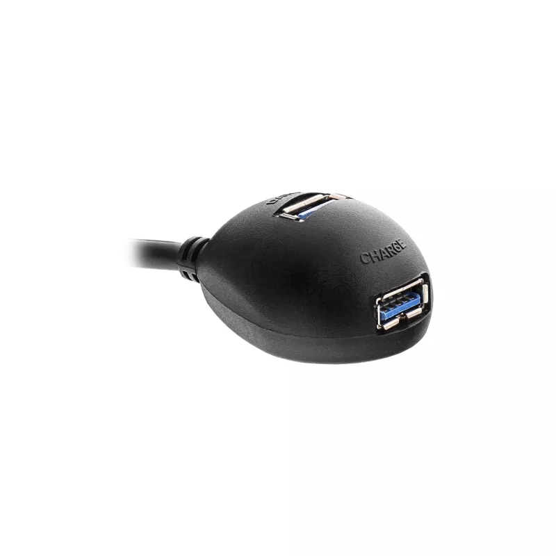 InLine USB 3.2 Gen.1 ilginimo laidas USB A kištukas / A lizdas + maitinimas, su stovu, juodas, 3 m