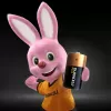 Duracell Plus C šarminė baterija
