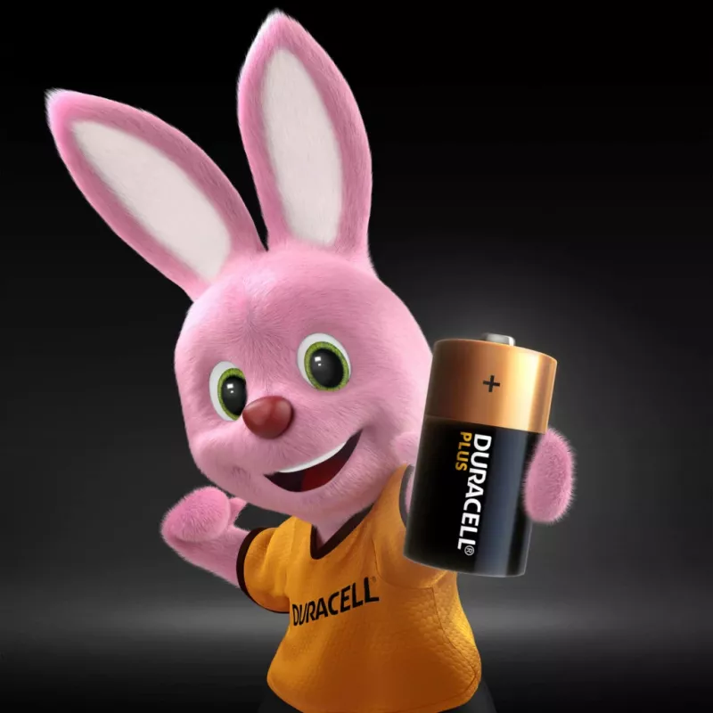 Duracell Plus C šarminė baterija