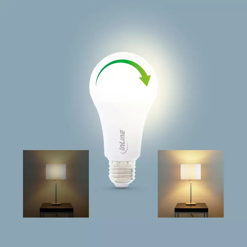 InLine SmartHome LED lemputė RGB E27, 900LM