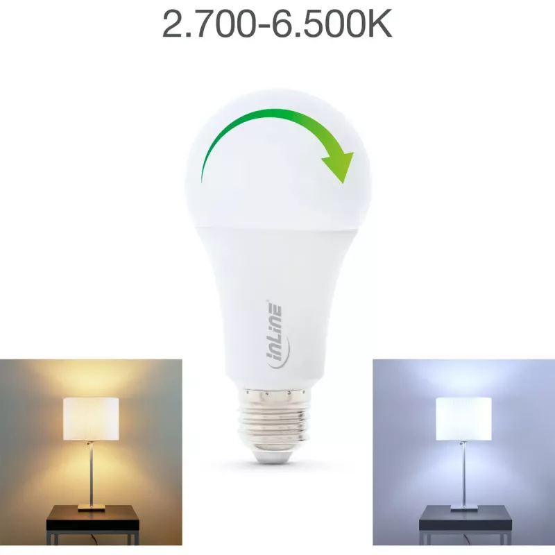 InLine SmartHome LED lemputė RGB E27, 900LM