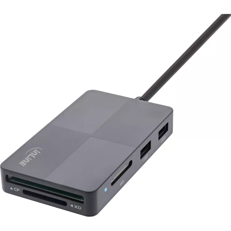 InLine 66772F kortelių skaitytuvas USB pilka