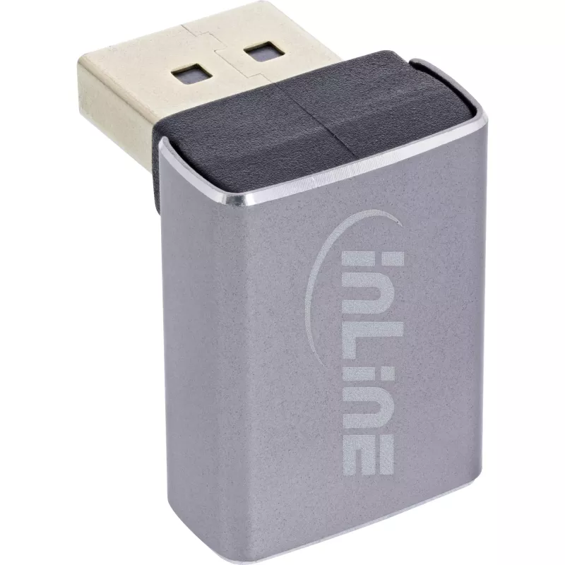 InLine 17291G lyties keitiklis DisplayPort pilka, juoda