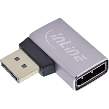 InLine 17291E adapteris DisplayPort lyties keitiklis pilka, juoda