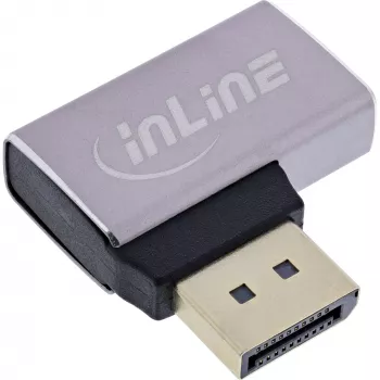 InLine 17291E adapteris DisplayPort lyties keitiklis pilka, juoda