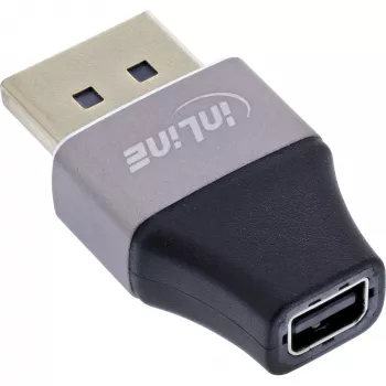 InLine 17291B adapteris DisplayPort į Mini DisplayPort, juodas/pilkas