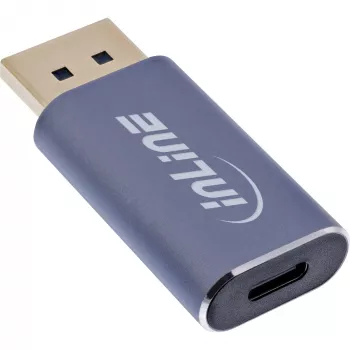 InLine 64107I vaizdo adapteris USB Type-C į DisplayPort pilka