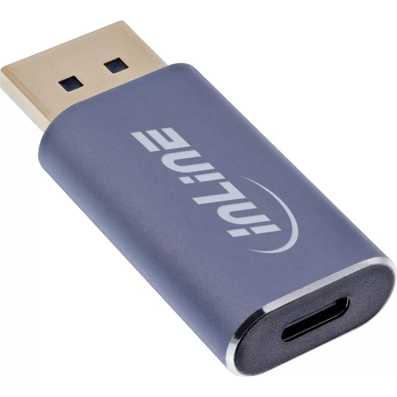 InLine 64107I vaizdo adapteris USB Type-C į DisplayPort pilka