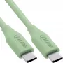InLine 35895G USB C laidas USB 2.0 0,5 m žalias