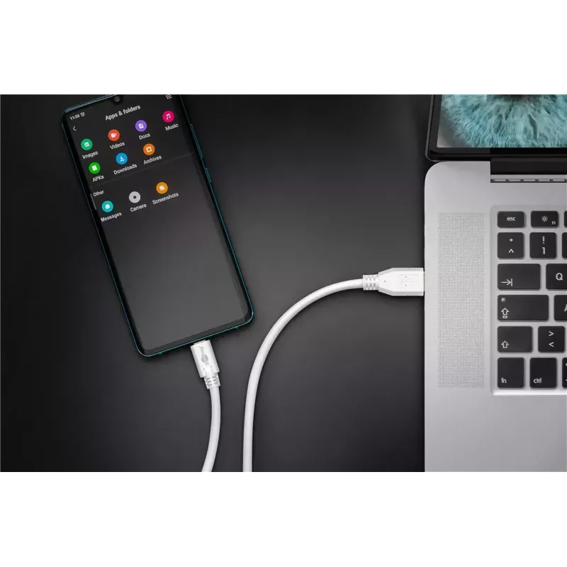 USB laidas Goobay 67188 USB 3.2 Gen 1 1 m USB-C USB-A baltas